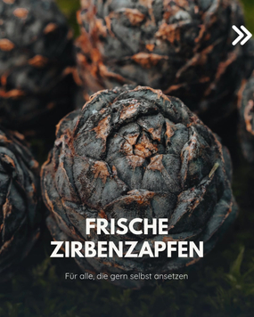 Wir verraten euch die Top 3 Zirbenprodukte, die bei euch besonders beliebt sind: 

???? Frische Zirbenzapfen: Ab Juli gibt es die frischen Zirbenzapfen, die perfekt sind f&uuml;r selbstgemachten Zirbensirup oder Zirbenschnaps

???? Zirben&ouml;l: das Zirben&ouml;l ist einfach ein Allrounder in deinem Zuhause. Ein paar Tropfen gen&uuml;gen und schon zieht der herrlich nat&uuml;rliche Duft der Zirbe bei dir ein.

???? Zirbenb&auml;ume: die jungen Zirbenb&auml;ume bringen pures Naturfeeling in deinen Garten oder auf deinem Balkon

#zirbe #zirbenprodukte #zirbelinofeeling #zirbelino #diffuser #zirben&ouml;l #zirbenbaum #zirbenzapfen