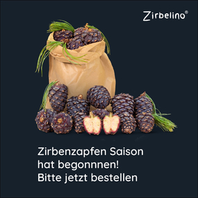 Bestellen Sie jetzt frisch gepfl&uuml;ckte Bio Zirbenzapfen - direkt bei Zirbelino mit Frische-Versand, ab Montag, 11.07.2022 - frisch gepfl&uuml;ckt, sofort versendet. 

www.zirbenprodukte.at/zirbenzapfen

#zirbenzapfen #zirbelino #zirbenholz #zirbenprodukte #zirbenschnaps