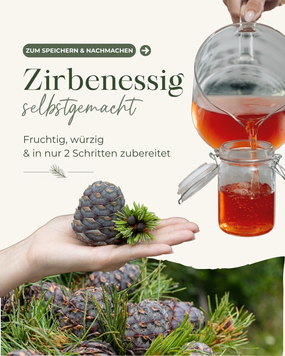 Zirbenessig schon mal selbstgemacht? So einfach geht&rsquo;s! ????&zwj;????

???? Du brauchst:

&bull; 4 Zirbenzapfen
&bull; 2 Liter Apfelessig

Anleitung:

Die Zirbenzapfen in Scheiben schneiden und in ein gro&szlig;es Glas geben. ☺️ Anschlie&szlig;end mit dem Apfelessig &uuml;bergie&szlig;en und das Glas gut verschlie&szlig;en. Nun den Zirbenessig f&uuml;r 4 Wochen lichtgesch&uuml;tzt ziehen lassen. Alle zwei Wochen das Glas kurz &ouml;ffnen und umr&uuml;hren. Danach nur noch abseihen und fertig ist dein selbst gemachter Zirbenessig! ????

???? Speichere dir dieses Rezept gleich ab, damit du es zur Hand hast, wenn deine Zirbenzapfen angekommen sind.

???? Jetzt noch bestellen! Unsere frischen Zirbenzapfen sind nur f&uuml;r kurze Zeit erh&auml;ltlich &ndash; inklusive kostenloser Rezepte f&uuml;r Sirup, Gelee, Essig oder Zirbenansatz. ☺️

Wer von euch hat Zirbenessig schon mal selbstgemacht? ????????