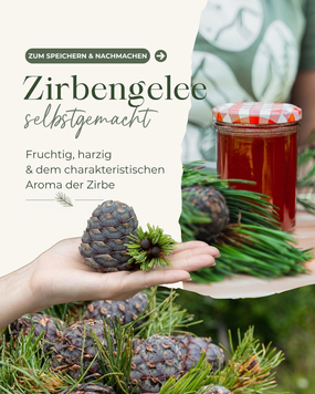 Schon mal Zirbengelee selbstgemacht? ????

Wenn nicht, dann ist jetzt noch der perfekte Zeitpunkt daf&uuml;r. Aus frischen Zirbenzapfen, etwas Gelierzucker, Wasser und einer Bio-Zitrone zauberst du im Handumdrehen ein ganz besonderes Zirbengelee. ????????&zwj;????

Also Beitrag speichern, ausprobieren und uns unbedingt erz&auml;hlen, wie dein Zirbengelee geworden ist! ☺️

P.S.: das ausf&uuml;hrliche Rezept gib&lsquo;s als kostenlosen Download bei uns im Online-Shop. ????