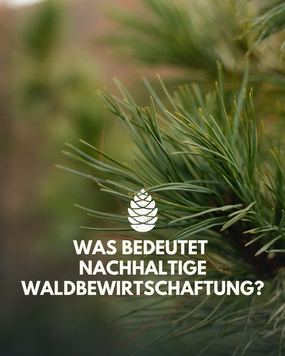 Nachhaltige Waldbewirtschaftung hei&szlig;t f&uuml;r uns: Verantwortung &uuml;bernehmen und zwar im Einklang mit der Natur. ???? Wir nehmen nur so viel Zirbenholz, wie der Wald uns schenken kann und geben daf&uuml;r umso mehr zur&uuml;ck - gemeinsam.

Ihr lasst eure kleinen Zirbenb&auml;umchen zu Hause wachsen und genau dadurch schlie&szlig;t sich der Kreislauf. ???? So geben wir gemeinsam  mehr zur&uuml;ck, als wir jemals verbraucht haben und multiplizieren diesen Effekt f&uuml;r die Zukunft, Zirbenbaum f&uuml;r Zirbenbaum. ????

Mehr dazu kannst du im Blog auf unserer Homepage nachlesen. ????

#zirbenholz #zirbe #forestproject #nachhaltigkeit #kreislaufdernatur #zirbenholzprodukte #zirbenbaum #jungb&auml;ume #waldbewirtschaftung