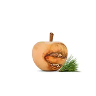 Zirbenapfel (7cm)