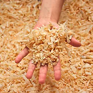 Zirbelino Mottenliebe-Sackerl mit 10g frischen Zirbensp&auml;nen