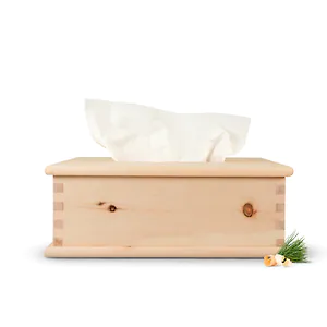 Kosmetiktuchbox 