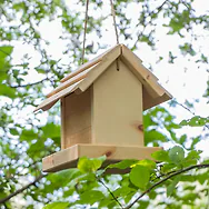 ZirBIRD Vogelfutterstation aus Zirbe | Futterplatz, Futterstation | Vogelfutt...