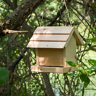 ZirBIRD Vogelfutterstation aus Zirbe | Futterplatz, Futterstation | Vogelfutt...