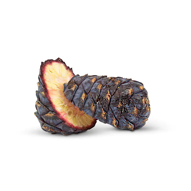 1kg Bio Zirbenzapfen Ernte 2026, frisch gepflückt | vakuumiert + EINGEFROREN | ca. 14-18 Stk. per Kilo