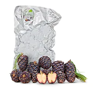 1kg Bio Zirbenzapfen Ernte 2026, frisch gepfl&uuml;ckt | vakuumiert + EINGEFROREN ...