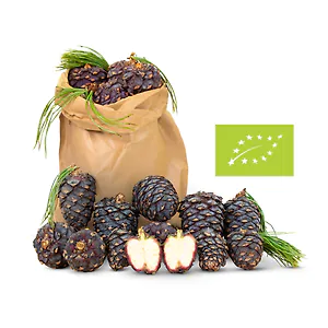 1kg Bio Zirbenzapfen Ernte 2027, frisch gepfl&uuml;ckt | ca. 14-18 Stk. per Kilo
