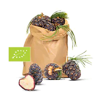 1kg Bio Zirbenzapfen Ernte 2027, B-Ware (2. Wahl), frisch gepfl&uuml;ckt | ca. 14-...