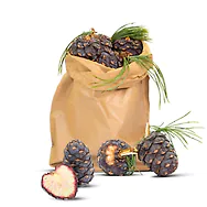 1kg Bio Zirbenzapfen Ernte 2027, B-Ware (2. Wahl), frisch gepfl&uuml;ckt | ca. 14-...