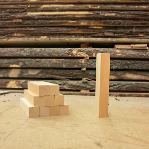 10 St&uuml;ck Schnitzholz aus Zirbe, auch zum Drechseln | 16cm x 2,5cm x 2,5cm (Lx...