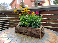 Dekokiste aus Zirbe - ca. 27x16x7,5cm (LxBxH) - f&uuml;r Blumen/Kr&auml;uter