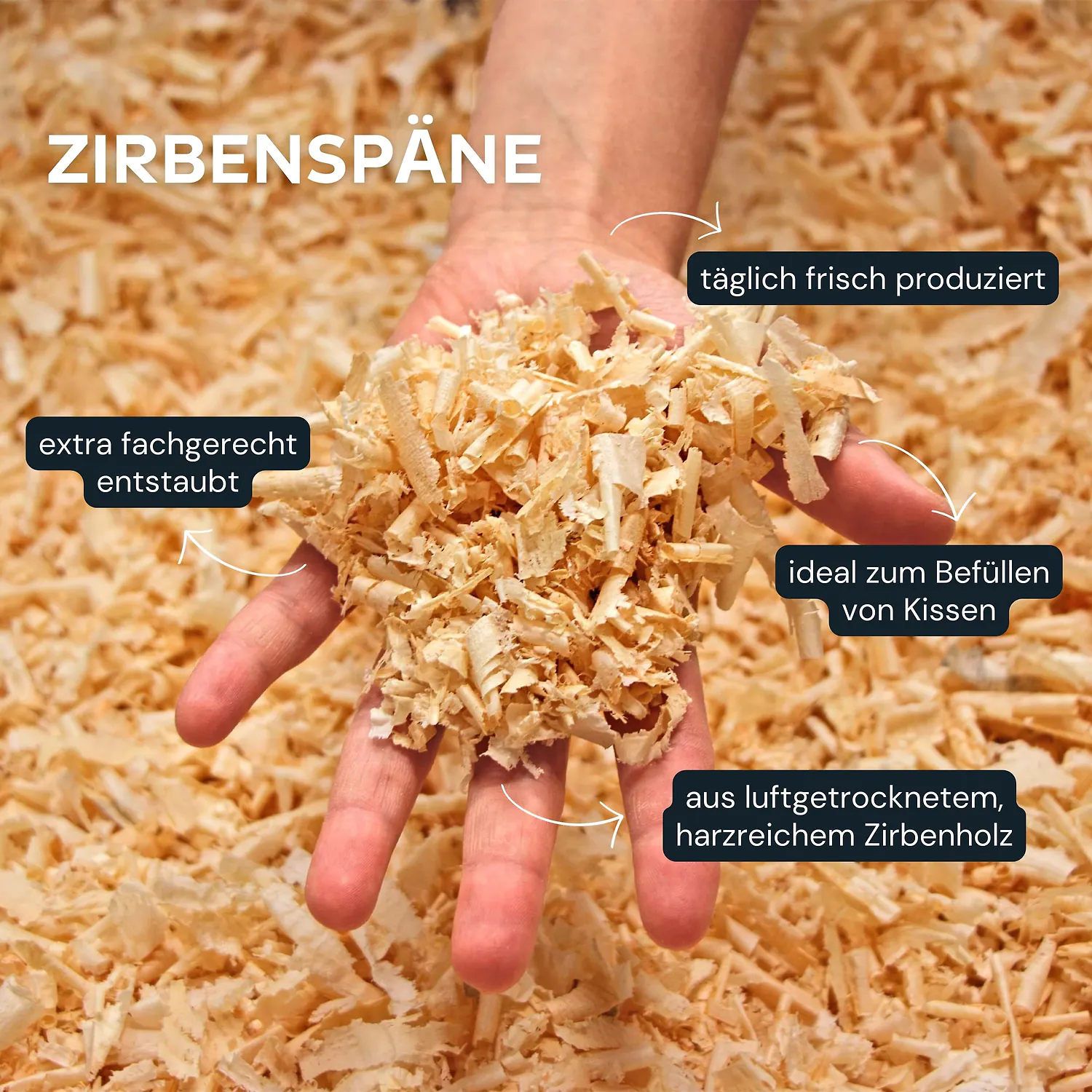Zirbenspäne in einer Hand präsentiert.