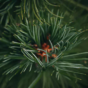 Echte Kreislaufwirtschaft aus K&auml;rnten. F&uuml;r die Umwelt, f&uuml;r Mutter Natur, f&uuml;r ...