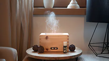 Rauml&uuml;fter & Diffuser