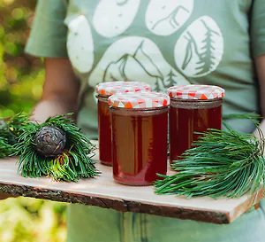 Selbstgemachtes Zirbengelee - der Duft der Alpen im Glas
