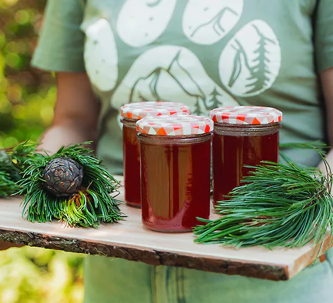 Selbstgemachtes Zirbengelee - der Duft der Alpen im Glas