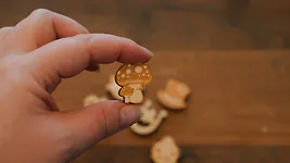 6er Gl&uuml;cksbringer-Set "klein" | je ca. 2cm gro&szlig; | 1x Kleeblatt, 1x ...