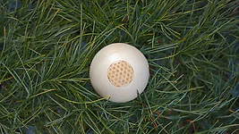 Zirbenkugel (7cm) "Blume des Lebens" + Wasserkaraffe Misura (1 Liter)