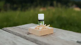 ZirbenInsel-Set mit Bio-Zirben&ouml;l 10ml | Insel mit ca. 7x7x2cm und 2 L&ouml;chern f...