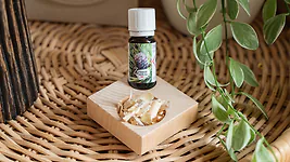 ZirbenInsel-Set mit Bio-Zirben&ouml;l 10ml | Insel mit ca. 7x7x2cm und 2 L&ouml;chern f...