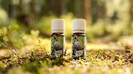 BIO Zirben&ouml;l | 2x 10 ml &ndash; 100% naturrein, regional & &auml;therisch | Wildwuch...