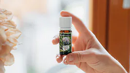 BIO Zirben&ouml;l | 10 ml &ndash; 100% naturrein, regional & &auml;therisch | Wildwuchs u...