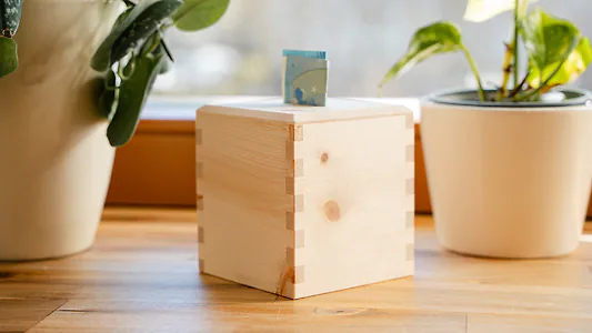 Spardose aus Zirbenholz (ohne Motiv oder individuell gravieren) | ca. 9,5cm x...