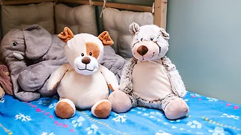 Zirbentiere & Stofftiere