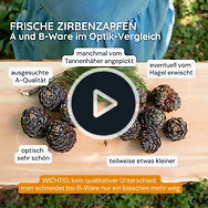 1kg Bio Zirbenzapfen Ernte 2027, frisch gepfl&uuml;ckt | ca. 14-18 Stk. per Kilo