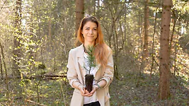 Zirbelino-B&auml;umchen 15-20cm (L) - Zirbenbaum aus &Ouml;sterreich | jung, frisch, le...