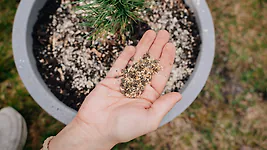 100g ZirbenD&uuml;nger Granulat f&uuml;r Zirbenb&auml;ume  - Pure Zirbenkraft f&uuml;r Wachstum, ...