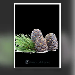 Rezeptheft Zirbenschnaps