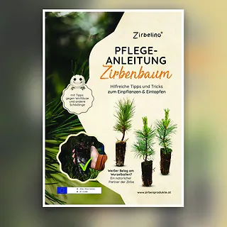 Pflegeanleitung f&uuml;r Zirbenb&auml;ume