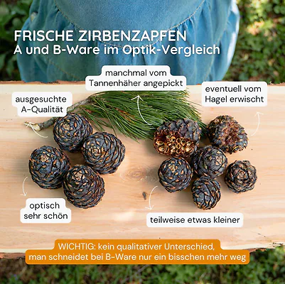 1.Wahl vs. B-Ware