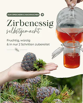 Zirbenessig schon mal selbstgemacht? So einfach geht&rsquo;s! ????&zwj;????

???? Du brauchst:

&bull; 4 Zirbenzapfen
&bull; 2 Liter Apfelessig

Anleitung:

Die Zirbenzapfen in Scheiben schneiden und in ein gro&szlig;es Glas geben. ☺️ Anschlie&szlig;end mit dem Apfelessig &uuml;bergie&szlig;en und das Glas gut verschlie&szlig;en. Nun den Zirbenessig f&uuml;r 4 Wochen lichtgesch&uuml;tzt ziehen lassen. Alle zwei Wochen das Glas kurz &ouml;ffnen und umr&uuml;hren. Danach nur noch abseihen und fertig ist dein selbst gemachter Zirbenessig! ????

???? Speichere dir dieses Rezept gleich ab, damit du es zur Hand hast, wenn deine Zirbenzapfen angekommen sind.

???? Jetzt noch bestellen! Unsere frischen Zirbenzapfen sind nur f&uuml;r kurze Zeit erh&auml;ltlich &ndash; inklusive kostenloser Rezepte f&uuml;r Sirup, Gelee, Essig oder Zirbenansatz. ☺️

Wer von euch hat Zirbenessig schon mal selbstgemacht? ????????