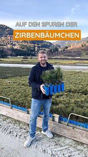 Teamausflug mal anders. ☺️ Statt B&uuml;ro und Werkstatt standen gestern Zirbenb&auml;umchen, frische Luft und spannende Einblicke am Programm. ???? 

Wir waren zu Besuch bei einem unserer Partner, durften hinter die Kulissen schauen und &uuml;ber alles plaudern, was unsere kleinen Zirbenb&auml;umchen so besonders macht. ????

Echter Austausch und ehrliche Gespr&auml;che ????

#zirbe #zirbenprodukte #zirbelino #zirbenbaum #kreislaufwirtschaft♻️ #nachhaltig #zirbelinofeeling #partnerschaft