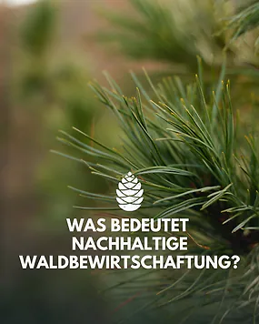 Nachhaltige Waldbewirtschaftung hei&szlig;t f&uuml;r uns: Verantwortung &uuml;bernehmen und zwar im Einklang mit der Natur. ???? Wir nehmen nur so viel Zirbenholz, wie der Wald uns schenken kann und geben daf&uuml;r umso mehr zur&uuml;ck - gemeinsam.

Ihr lasst eure kleinen Zirbenb&auml;umchen zu Hause wachsen und genau dadurch schlie&szlig;t sich der Kreislauf. ???? So geben wir gemeinsam  mehr zur&uuml;ck, als wir jemals verbraucht haben und multiplizieren diesen Effekt f&uuml;r die Zukunft, Zirbenbaum f&uuml;r Zirbenbaum. ????

Mehr dazu kannst du im Blog auf unserer Homepage nachlesen. ????

#zirbenholz #zirbe #forestproject #nachhaltigkeit #kreislaufdernatur #zirbenholzprodukte #zirbenbaum #jungb&auml;ume #waldbewirtschaftung