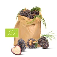 1kg Bio Zirbenzapfen Ernte 2026, B-Ware (2. Wahl), frisch gepfl&uuml;ckt | ca. 14-...