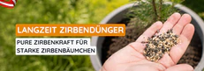  Zirbend&uuml;nger