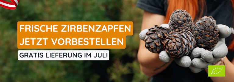 Frische Zirbenzapfen