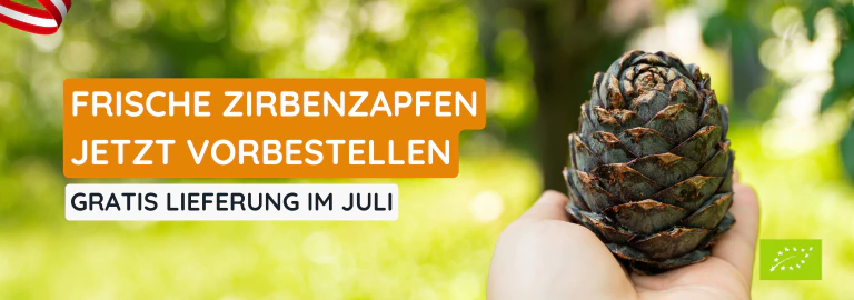 Frische Zirbenzapfen