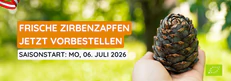 Frische Zirbenzapfen