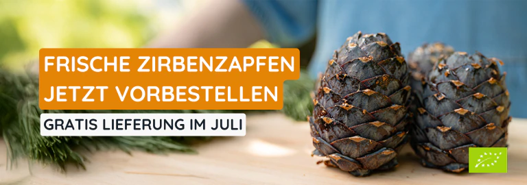 Frische Zirbenzapfen