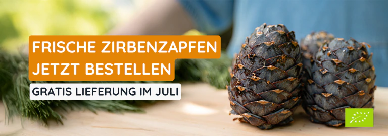 Frische Zirbenzapfen