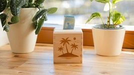 Spardose aus Zirbenholz mit ausw&auml;hlbaren Motiv | ca. 9,5cm x 9,5cm x 10cm