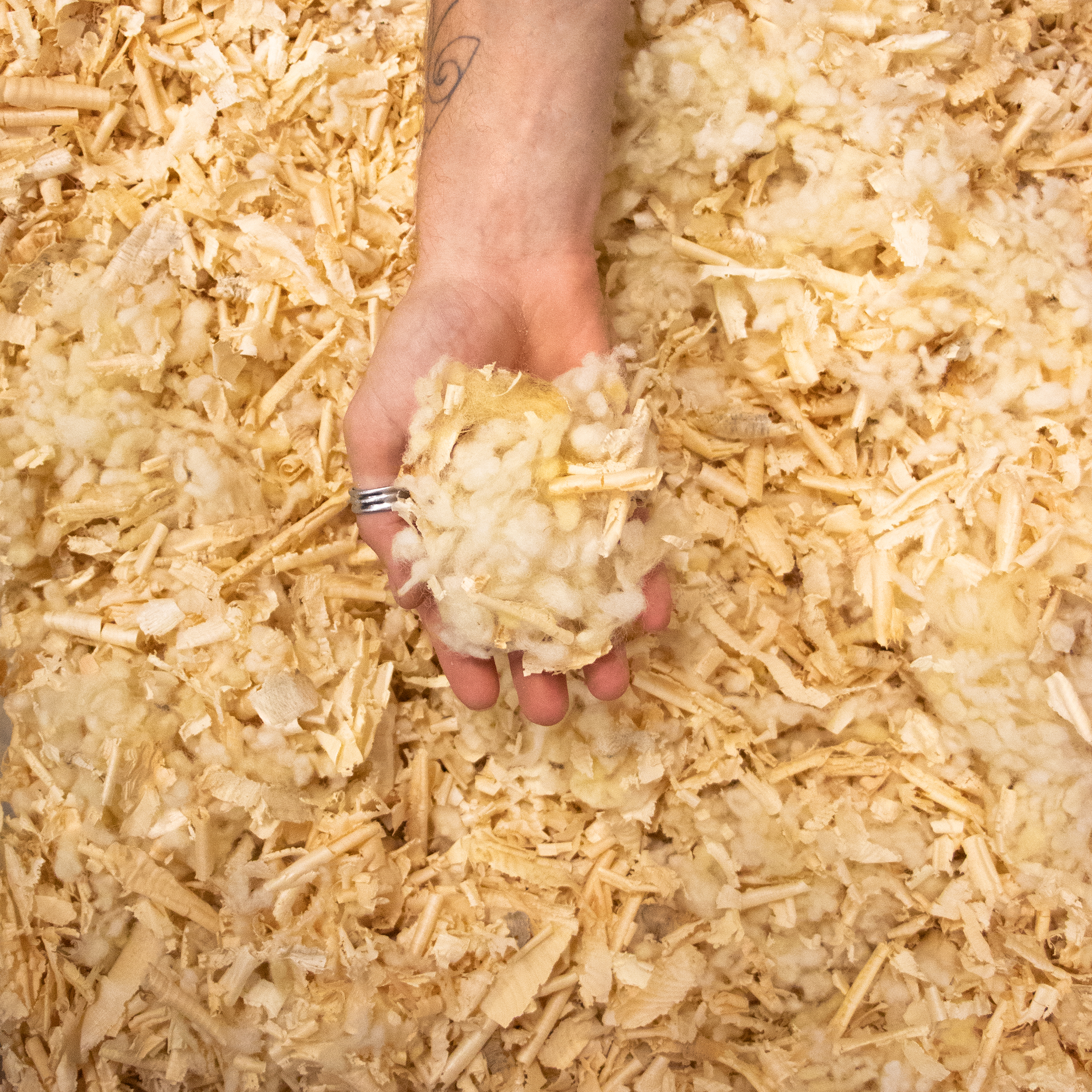 Zirbensp&auml;ne-Schafwollemischung in einer Hand pr&auml;sentiert.