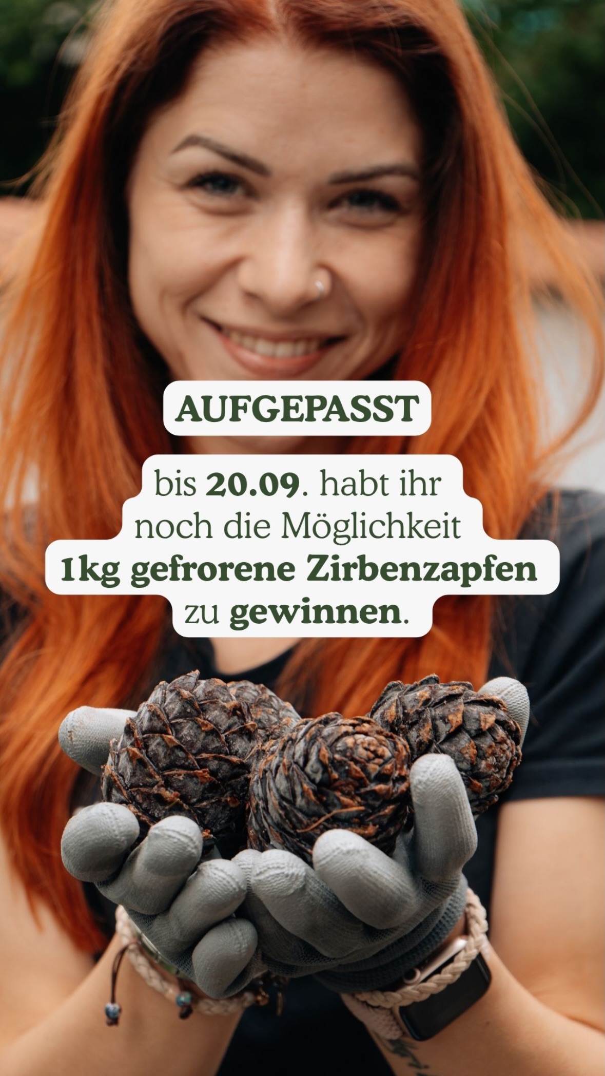 Neueste Story von KISSEN1 Zirbenprodukte GmbH